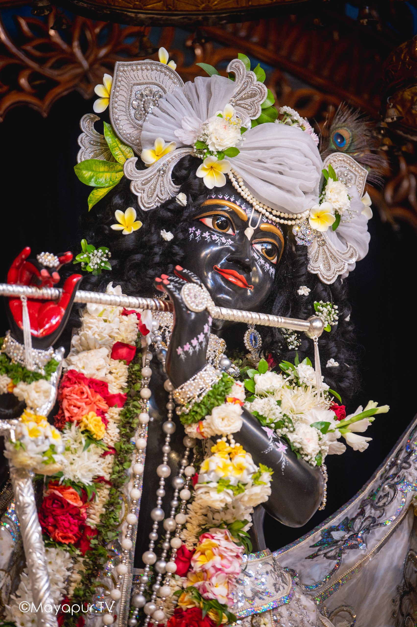 Mayapur Krishna