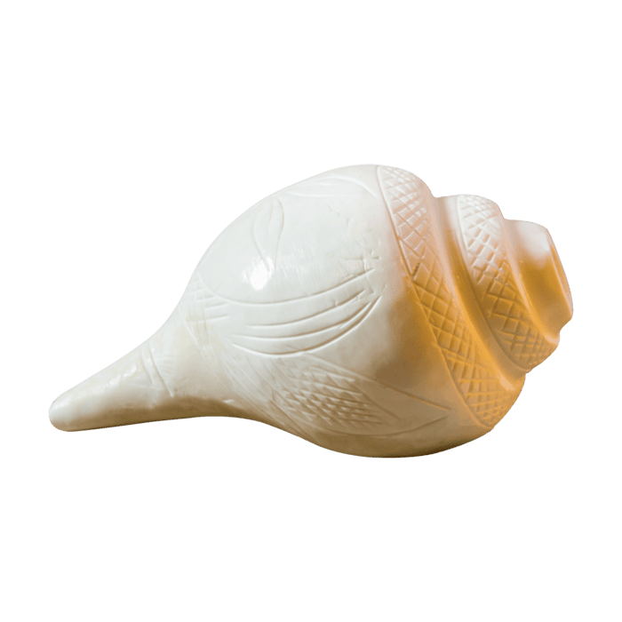 Shankh